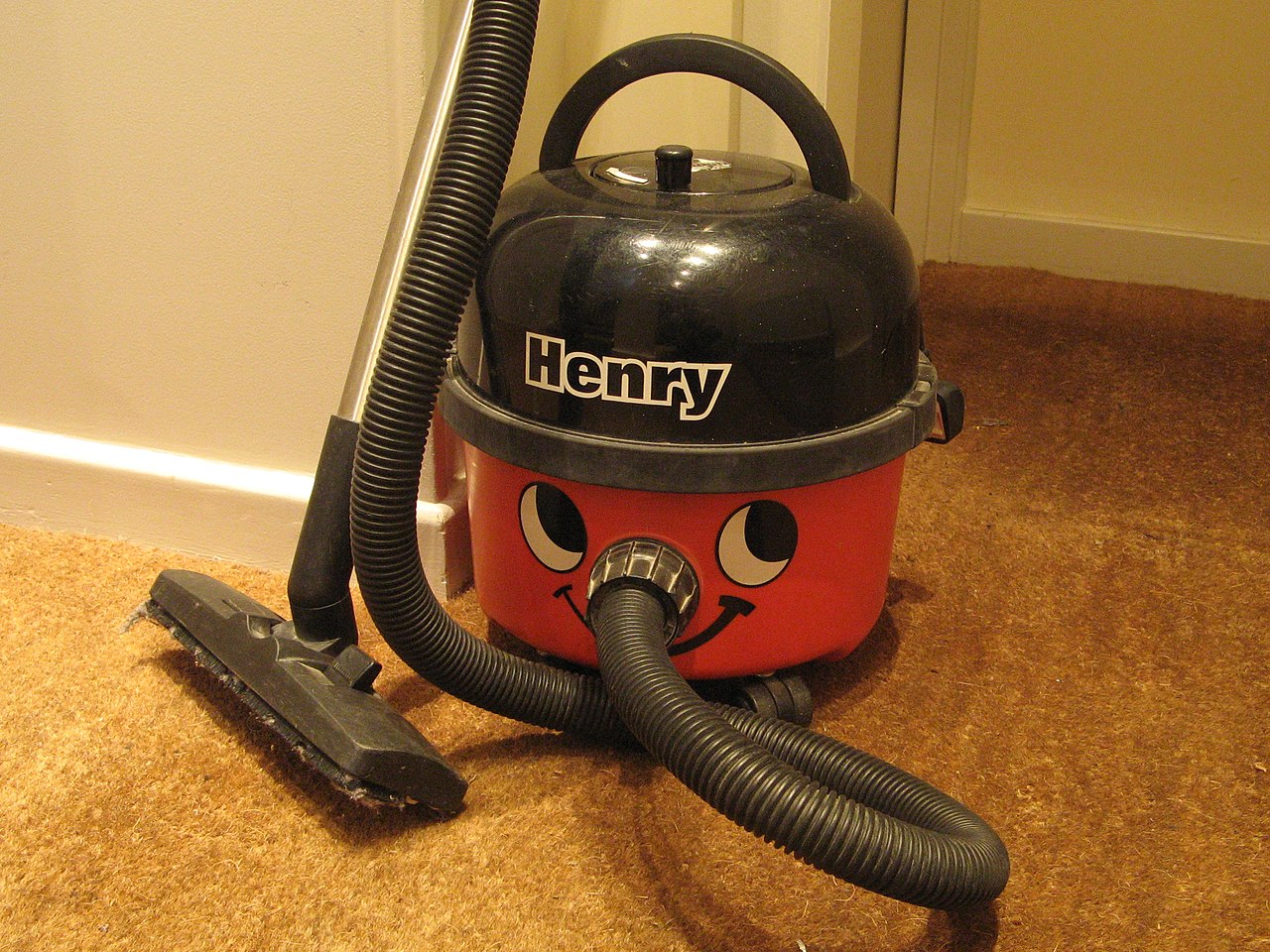 Numatic Henry, jeden z najpopularniejszych w Europie odkurzaczy